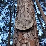 Casa Na Reserva Natural Do Surf Com Trilha Para Praia Terreno Compartilhado